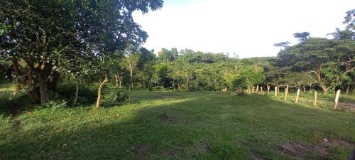 Buwekula Other | Rwekyapa Agro eco-tourism and learning center