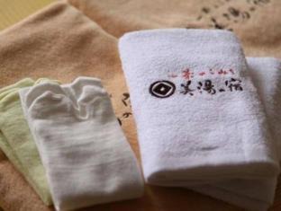 Yudanaka Shibu Onsen Hotel | Ryokan Biyunoyado