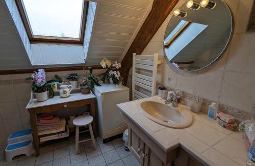 Vannes-sur-Cosson Bed & Breakfast | Séjour bucolique en Sologne avec chambres confortables dans maison accueillante - FR-1-590-359