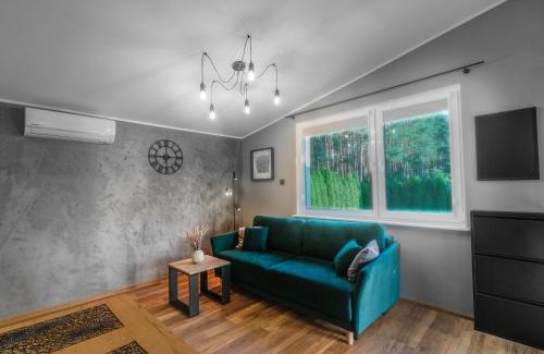 Potrzanowo House | Sławica Inn domek letniskowy nad jeziorem