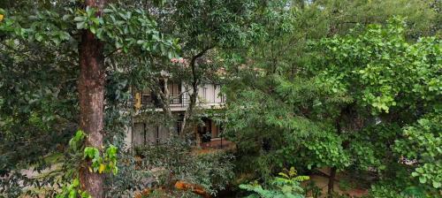 Kunnathidavaka Resort | Safari Hills