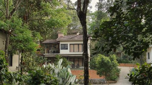 Kunnathidavaka Resort | Safari Hills