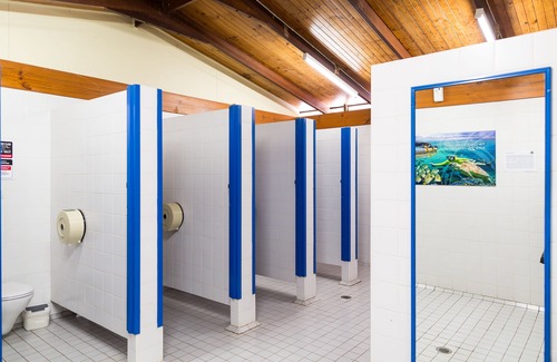 Cape Tribulation Cabin | Safari Lodge