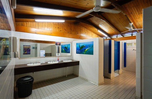Cape Tribulation Cabin | Safari Lodge