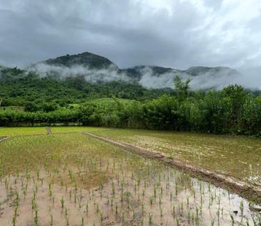 Muang Ngoi Neua Other | Sai Nam Ngoi Organic Farm and Camping