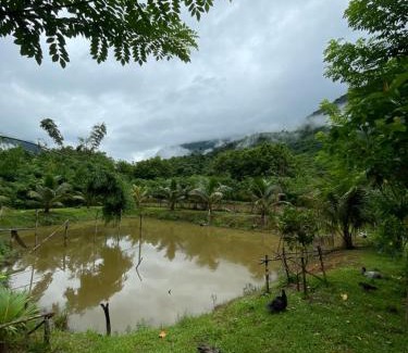 Muang Ngoi Neua Other | Sai Nam Ngoi Organic Farm and Camping