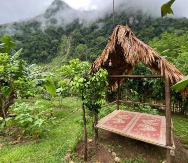 Muang Ngoi Neua Other | Sai Nam Ngoi Organic Farm and Camping