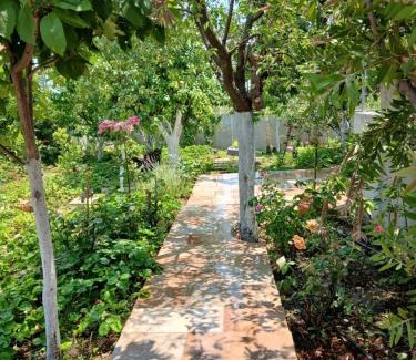 Stagira-Akanthos House | Saint Anna Country House.