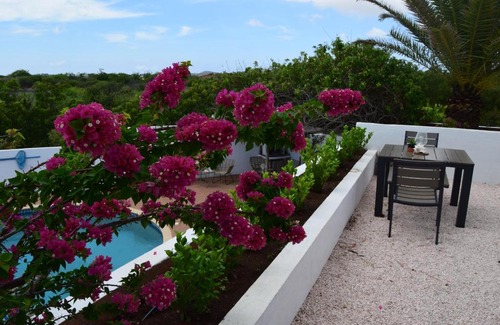 Pietermaai District Resort | Saint Joris a tiny Boutique Resort