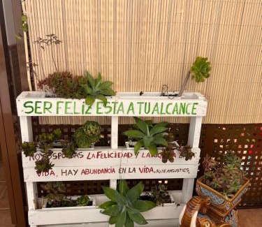 Carboneras Apartment | Salamandra