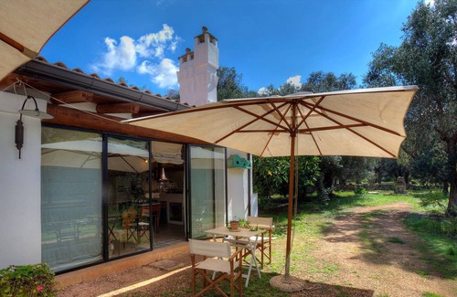 Andrano House | Salento rural residence immersed in an olive grove