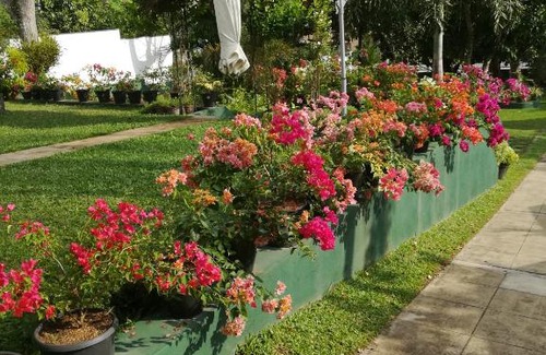 Ambalangoda House | Samanala Garden Holiday Home