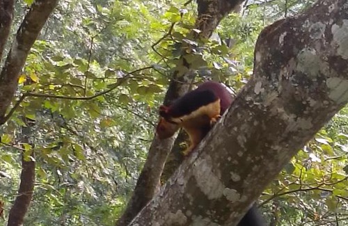 Valparai House | Sami_Vadakkens home stay