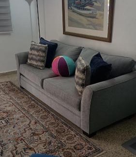 Aguas Buenas Apartment | San Antonio