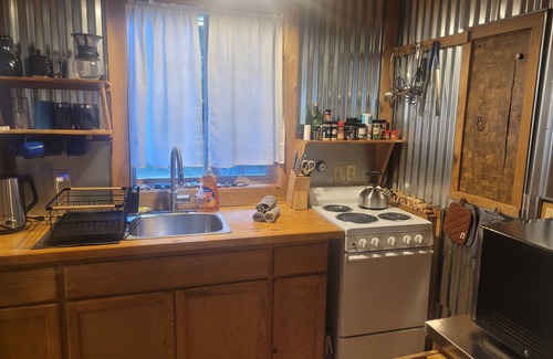Hoodsport Cabin | San Gregorio - A Cozy & Dog Friendly Forest Retreat