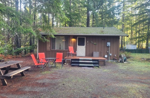 Hoodsport Cabin | San Gregorio - A Cozy & Dog Friendly Forest Retreat