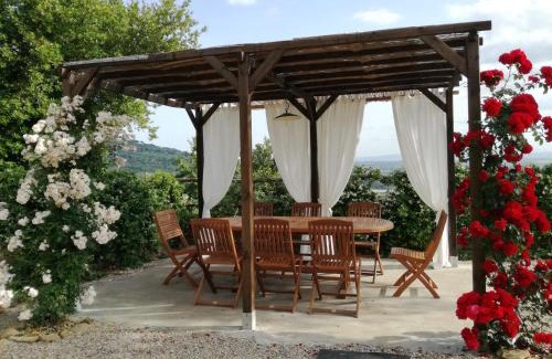 San Pietro a Cegliolo House | San Martino agli Ulivi