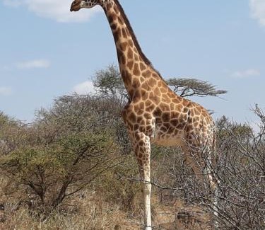 Marigat Resort | Sandai Resort Lake Baringo