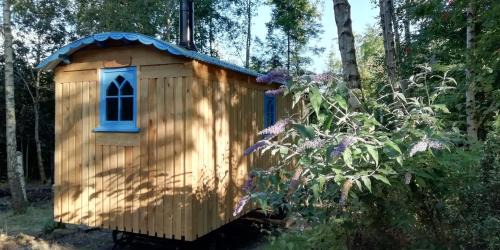 Picklescott Ski Chalet | Sapphire forest garden shepherd’s hut
