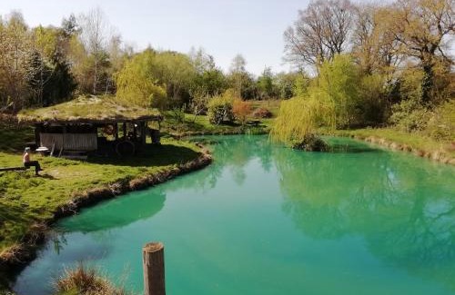 Picklescott Ski Chalet | Sapphire forest garden shepherd’s hut