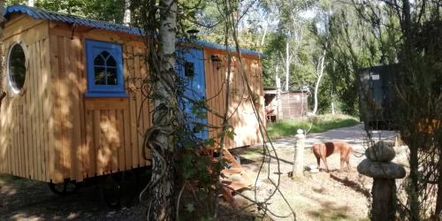 Picklescott Ski Chalet | Sapphire forest garden shepherd’s hut