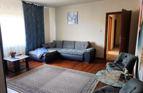 Otelu Rosu Apartment | Sarah Apartament