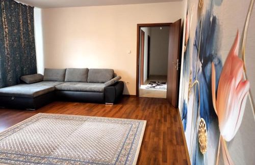 Otelu Rosu Apartment | Sarah Apartament