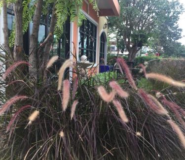 Nakhon Ratchasima Resort | Sata House Boutique Resort