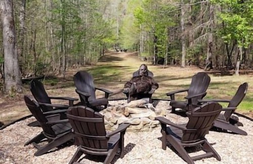 Blue Ridge House | Sauna Hot/Cold Tubs Fightingtown Creek Blue Ridge