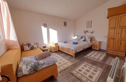 Davidkovo House | SavayaTribe
