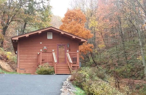 Marion Cabin | Scenic cabin near Hungry Mother, Mount Rogers, and Grayson Highlands Parks