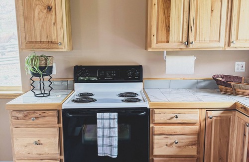 Salmon Apartment | Scenic Studio Retreat- Steps to Goldbug Hot Springs