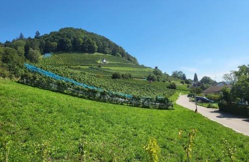 Stein am Rhein Apartment | Schöne Einliegerwohnung 200m vom Wasser entfernt