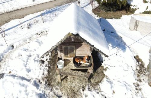 Sankt Lambrecht Apartment | Schöne Ferienwohnung im Naturpark Grebenzen
