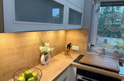 Lichtenberg House | Schönes Ferienhaus 400m vom See, Sauna, Kamin, Klima, Garten bei Bad Steben