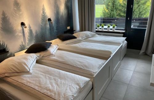 Kniebis Apartment | Schwarzwald Wohnung Kniebis