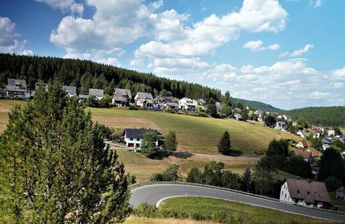 Eisenbach Apartment | Schwarzwaldblick