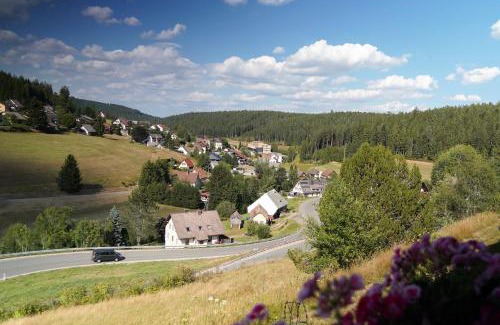 Eisenbach Apartment | Schwarzwaldblick