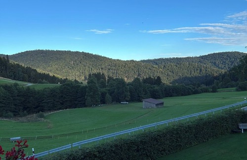 Todtmoos Apartment | Schwarzwaldhus Tannenblick with flower view