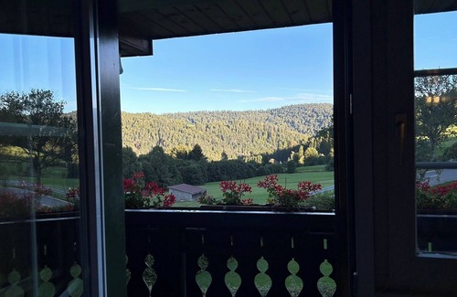 Todtmoos Apartment | Schwarzwaldhus Tannenblick with flower view