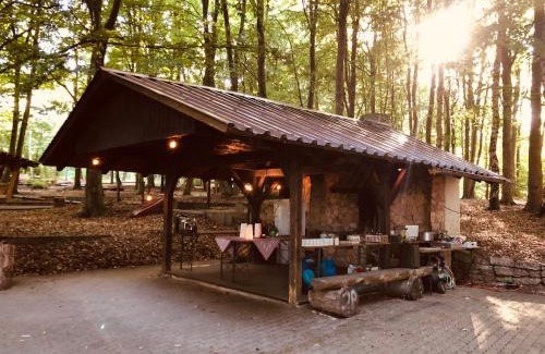Potzwenden Other | Schwedischer Shelter unter Buchen