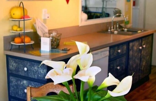 Harbor House | Sea Breeze Artist Bungalow (Bigfoot doesn’t live here)