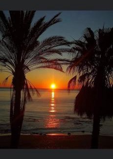 Indian Shores Apartment | Sea Club Condo #37