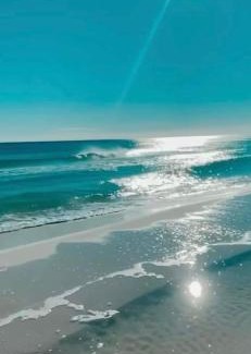 Indian Shores Apartment | Sea Club Condo #37