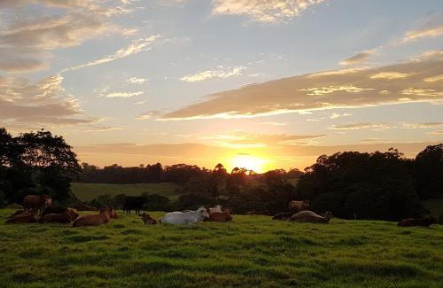 Maleny Bed & Breakfast | "Seasons of Maleny B&B"