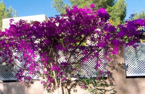 Sant Josep de sa Talaia Villa | Secluded villa in private grounds with AC in all bedrooms