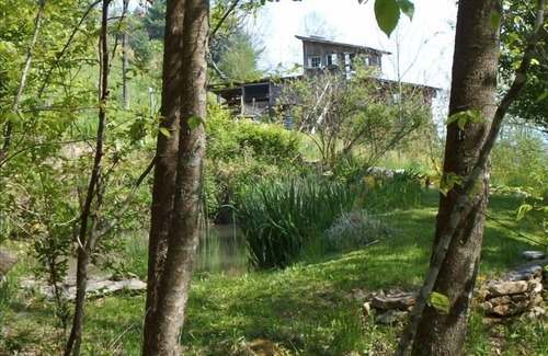 Burnsville Cabin | Secluded Cabin on 45 Private Acres with Trails, Pond, Pets Ok.