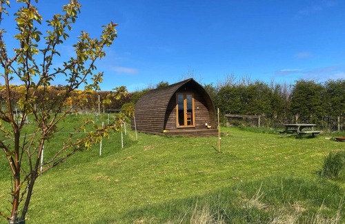 Crovie Cabin | Secluded Cabin on the Banffshire Coast