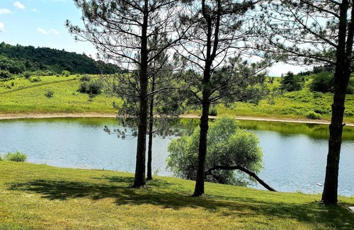 Carbon Hill Cabin | Secluded Cabin near Hocking Hills with Stocked Pond/ Hot Tub on 40 acres