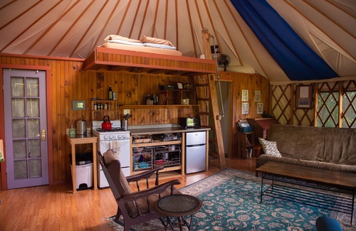 Trumansburg Cabin | Secluded, Clean Yurt, Retreat on a Forest Farm